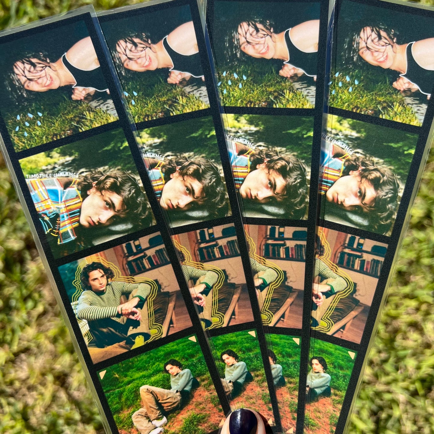 timothee chalamet bookmark