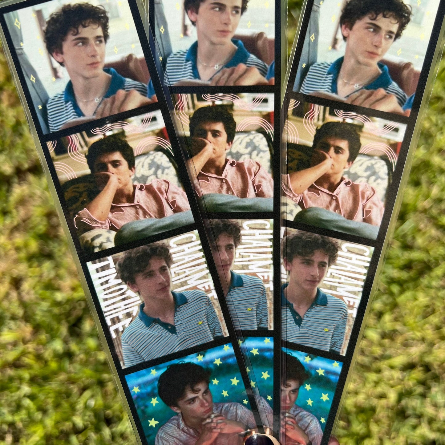 timothee chalamet bookmark