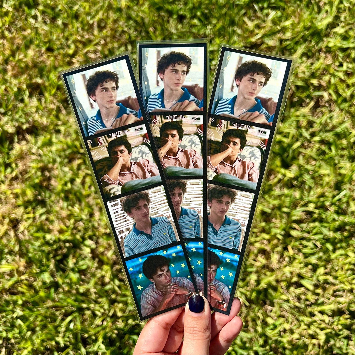 timothee chalamet bookmark