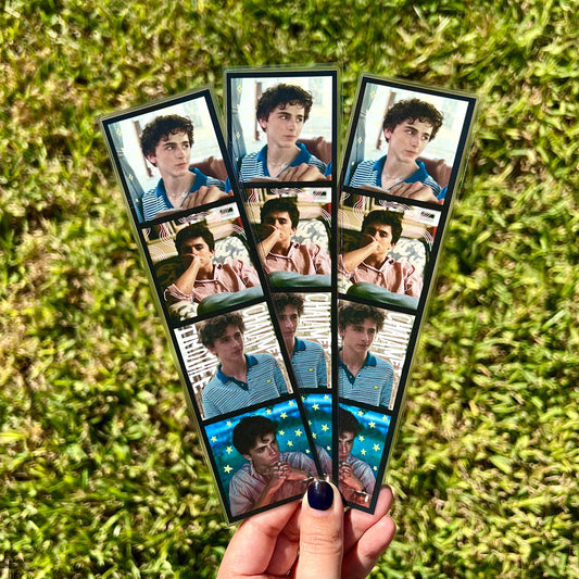 timothee chalamet bookmark